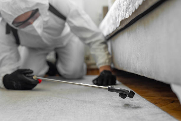 Professional Bed Bug Control technician working in Indian Hills, NM